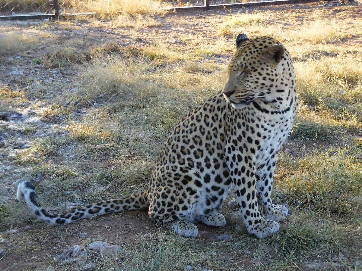 Aloegrove Safari Lodge Otjiwarongo Dış mekan fotoğraf