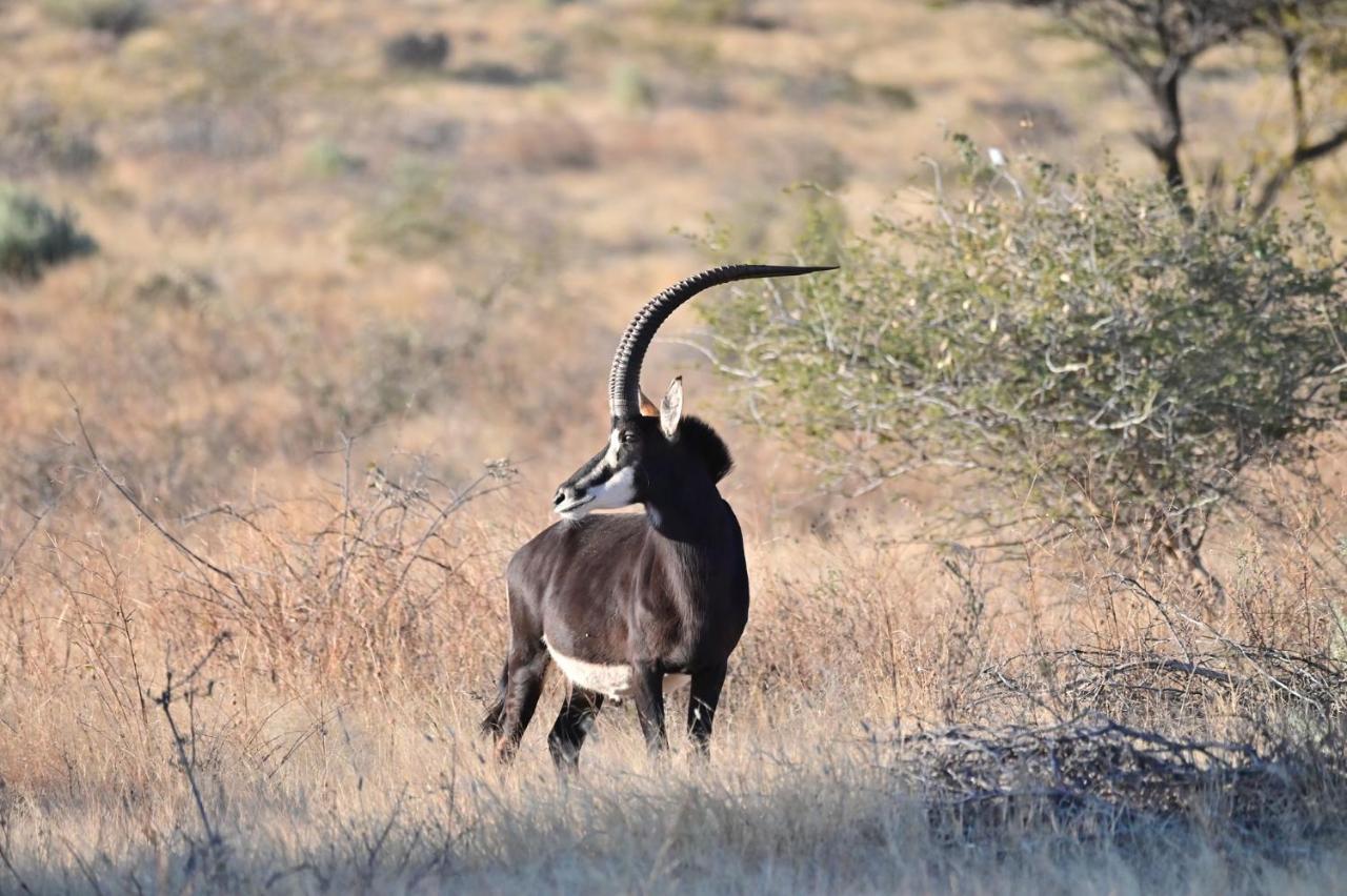 Aloegrove Safari Lodge Otjiwarongo Dış mekan fotoğraf