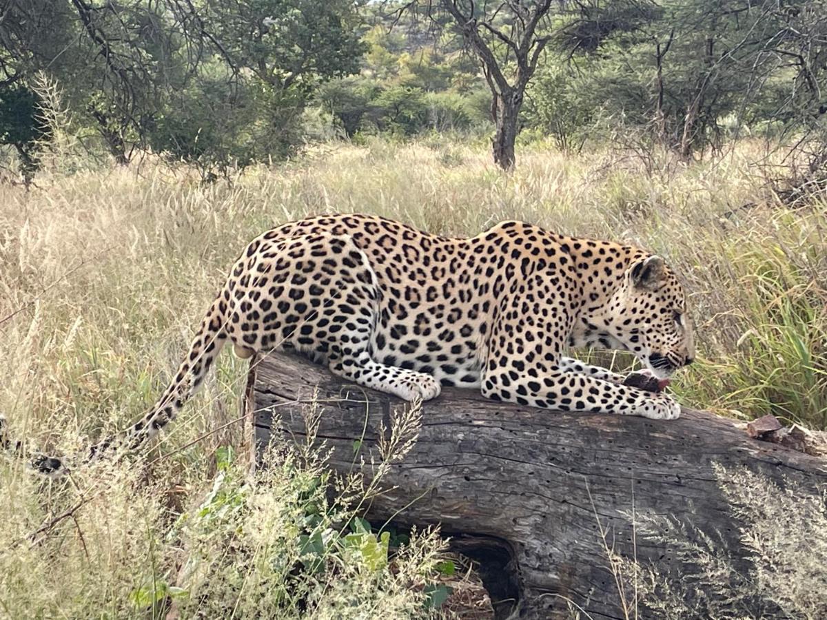 Aloegrove Safari Lodge Otjiwarongo Dış mekan fotoğraf