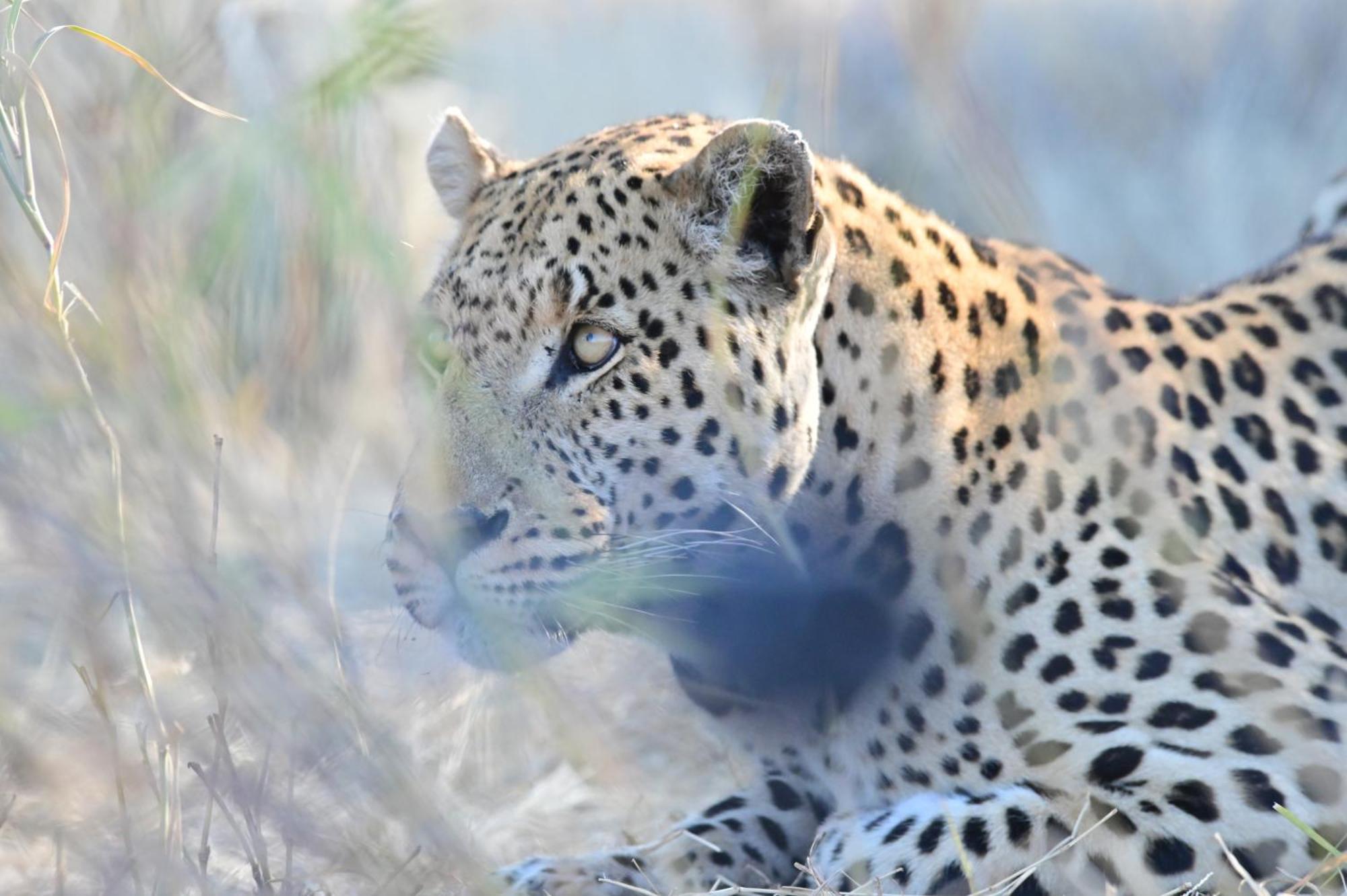 Aloegrove Safari Lodge Otjiwarongo Dış mekan fotoğraf