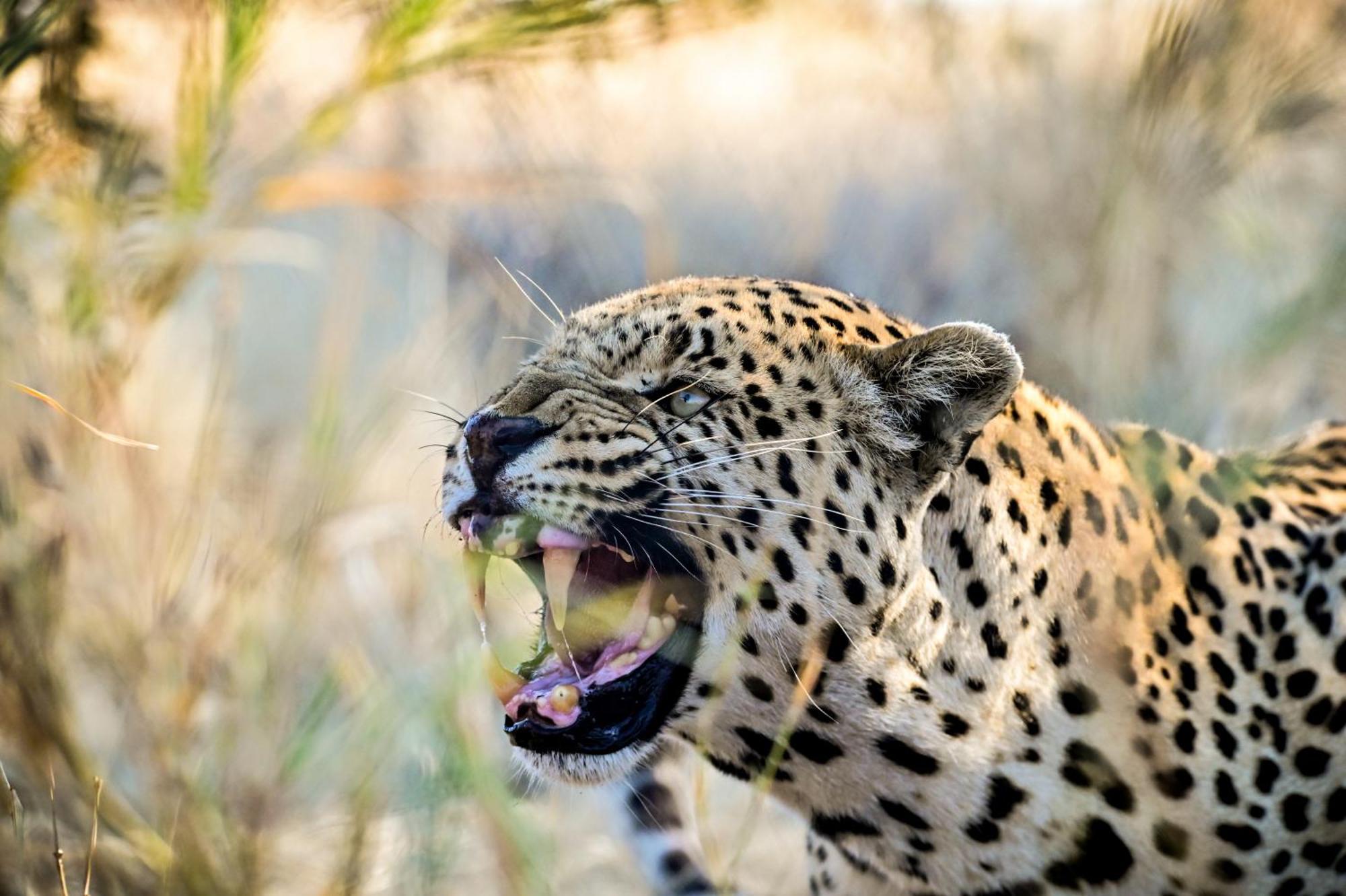 Aloegrove Safari Lodge Otjiwarongo Dış mekan fotoğraf