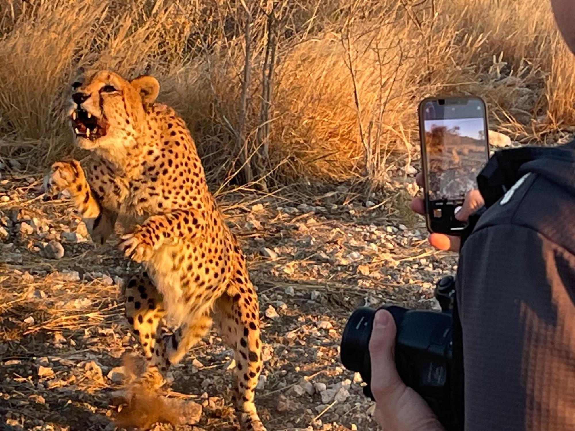 Aloegrove Safari Lodge Otjiwarongo Dış mekan fotoğraf